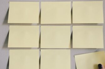Основы предпринимательства: как составить эффективный бизнес план