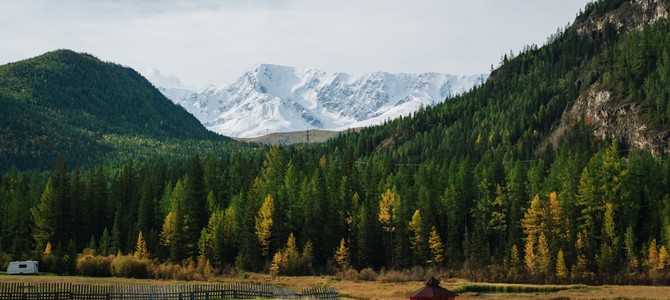 Краткая справка
