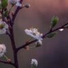 Незаконное предпринимательство это: определение, последствия, ответственность