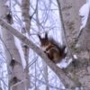 Министерство предпринимательства Владимирской области: новости и события