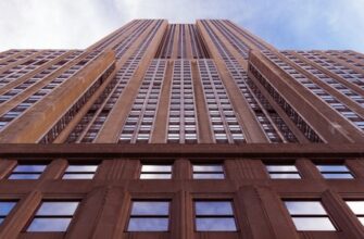 Основы государственного предпринимательства: состояние в России