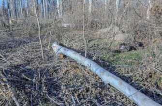 Объективные признаки незаконного предпринимательства: понятие и характеристики