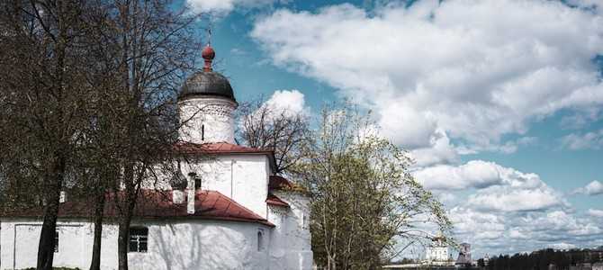 Деятельность и госзакупки