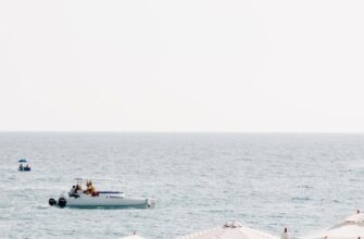 Почта: это коммерческая организация или государственная компания?