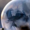Колледж сферы услуг и предпринимательства в Москве: лучшие специальности