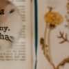 Признаки малого предпринимательства: критерии и характеристики